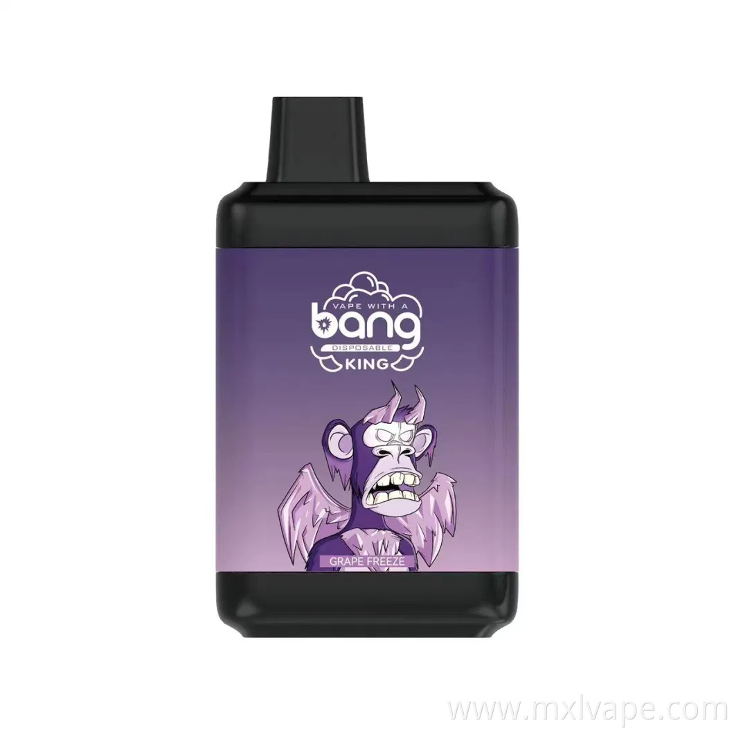 8000 Puffs Rechargeable 16ml Bang King for USA Disposable E-Cigarette Vaporizer